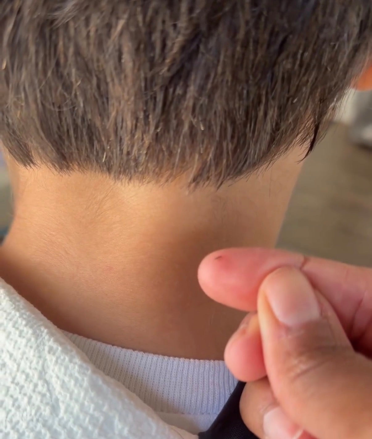 How do you get head lice? l Atlanta Lice Removal Expert