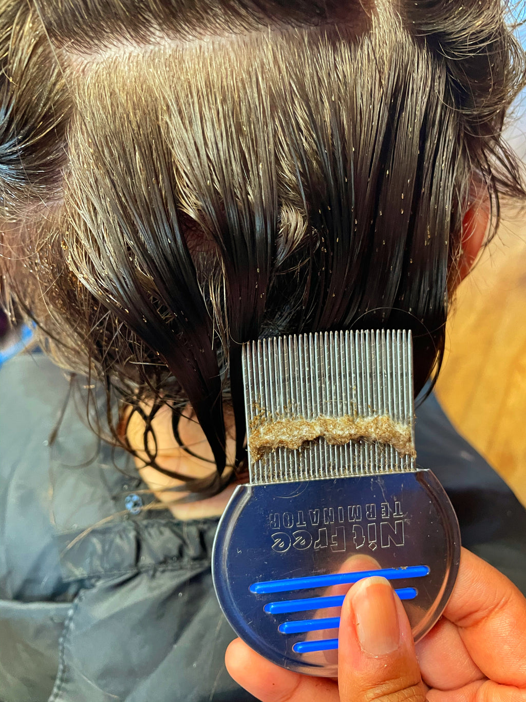 <transcy>Peine para piojos Terminator</transcy>